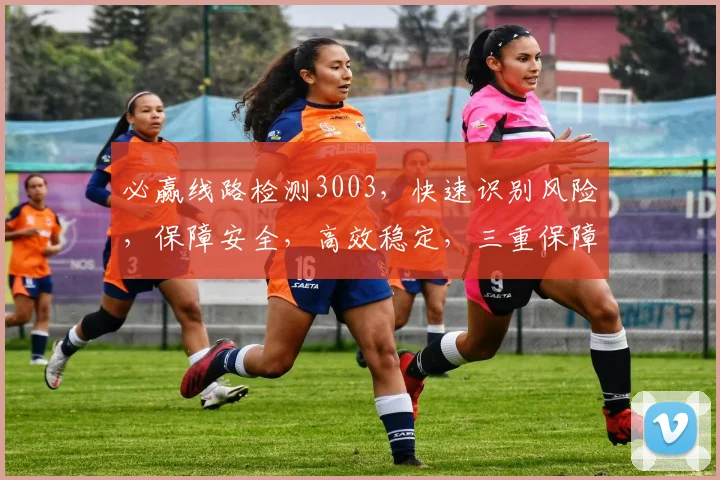 必赢线路检测3003，快速识别风险，保障安全，高效稳定，三重保障，必赢无忧