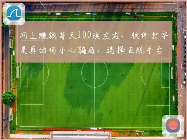网上赚钱每天100块左右，软件打字是真的吗小心骗局，选择正规平台