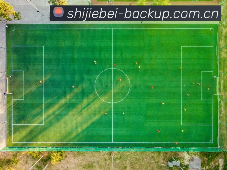 2026世界杯买球网站平台生态图